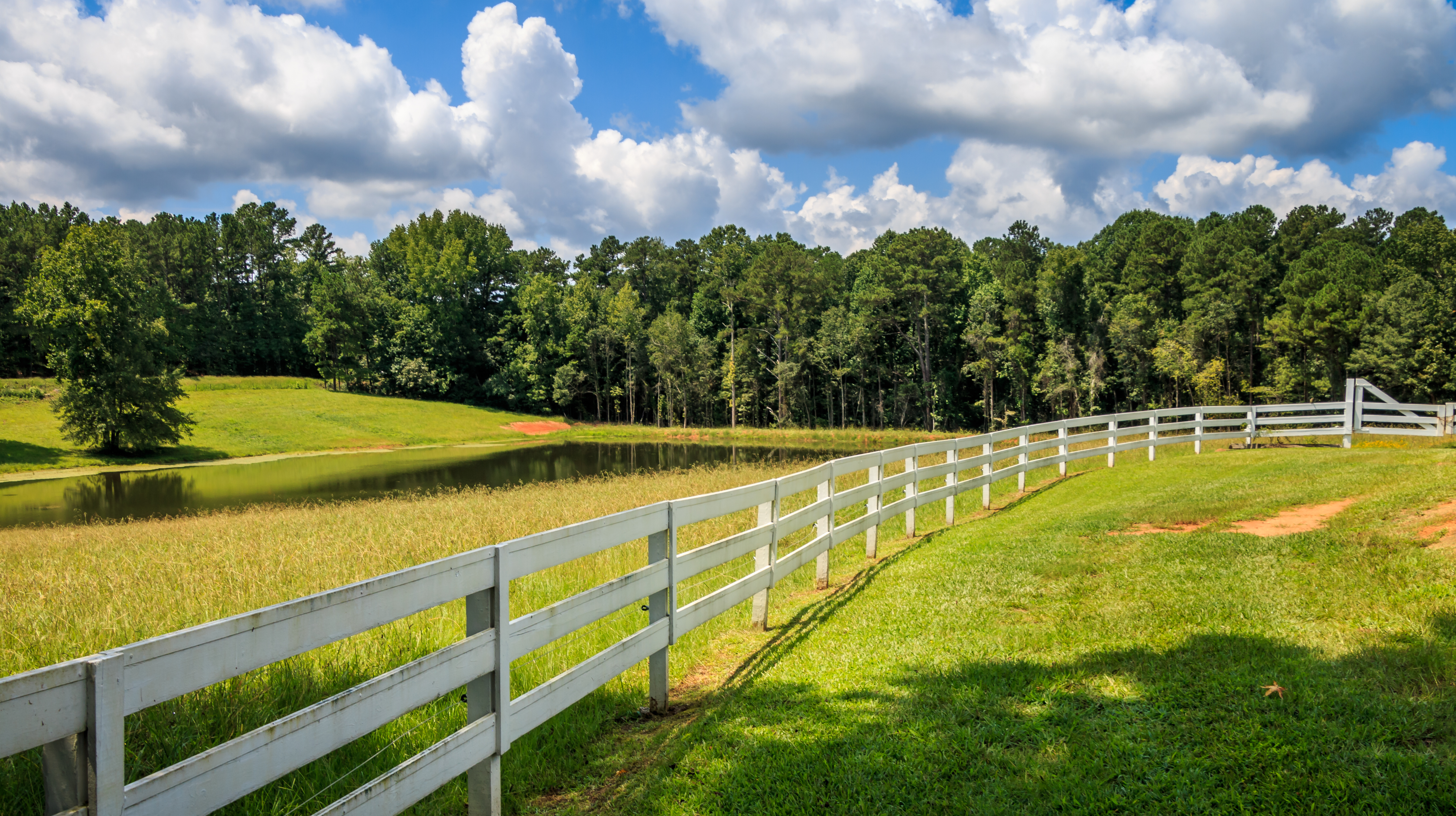 iStock-1054866896.jpg